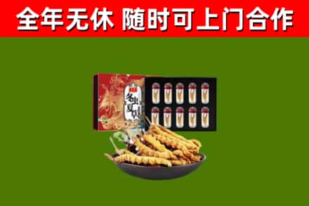 永善回收冬虫夏草价格