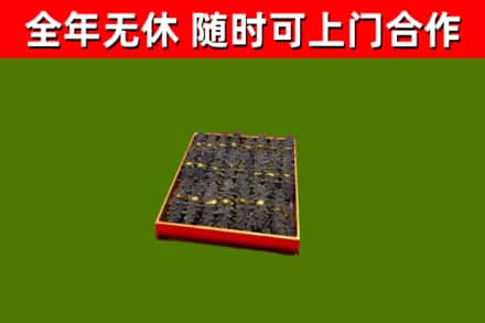 永善回收海参